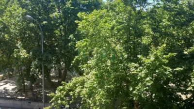 Apartment in Casco Vello photo 20