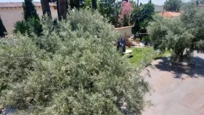 House in Villamontes-Boqueres photo 9