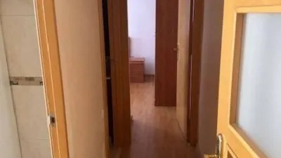 Apartment in Sant Ildefons photo 5