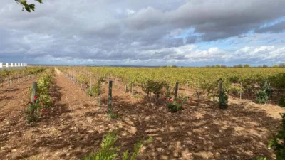 Casa rústica en venta en Chinchilla de Monte-Aragón - Vista 2