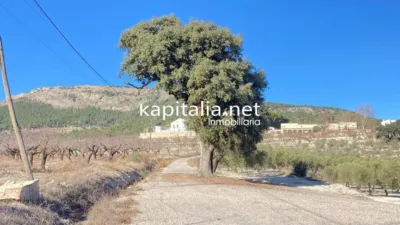 Rustic House in Penàguila photo 74