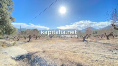 Rustic House in Penàguila photo 75