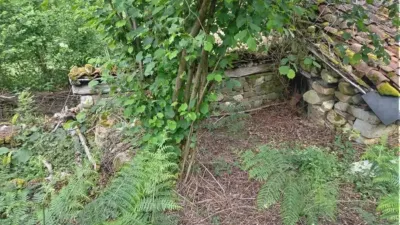 Rustic house in Barrio (Caso) photo 7