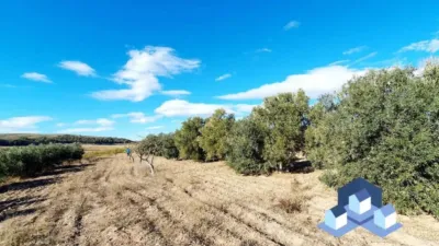 Rustic house in Lorca photo 6