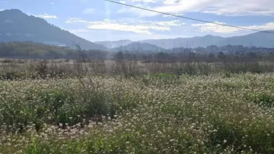Terreno en venta en Ondara - Vista 4