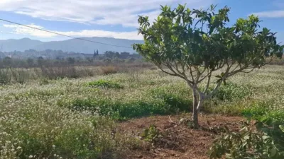 Terreno en venta en Ondara - Vista 5