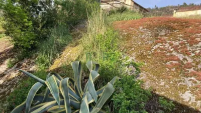 Chalet in Leiro (Capital) photo 38