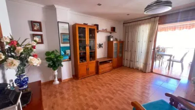 Pis – Guardamar del Segura - Vista 2