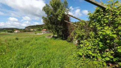 House in Campus Norte-San Caetano photo 10