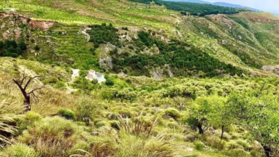 Rustic house on Camino de La Sierra de Mondujar, 1 photo 8