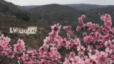 Rustic house on Camino de La Sierra de Mondujar, 1 photo 40