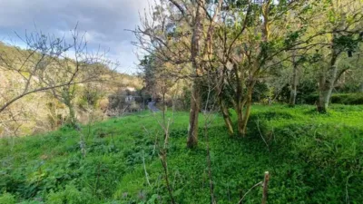 House in Chouza (Boa) photo 4