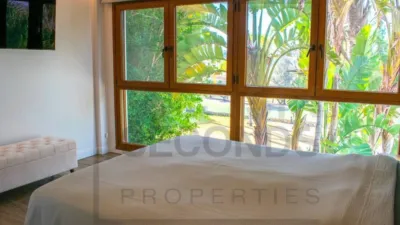 Villa in Algorfa photo 29