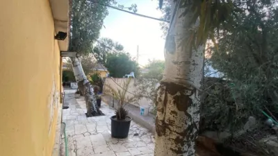 House in Agost photo 12