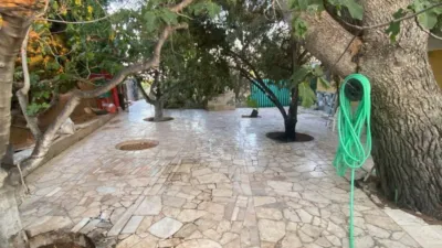 House in Agost photo 15