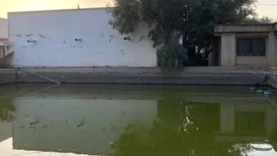 House in Agost photo 22