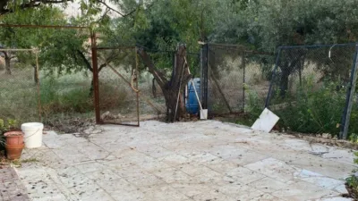 House in Agost photo 25