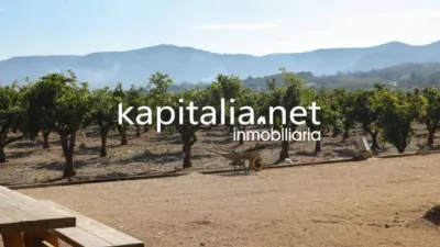 Rustic house in Montesa photo 38