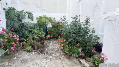 House in Ubrique photo 10
