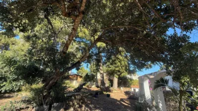 Terreno en venta en Coloma - Vista 4