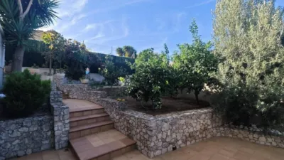 House in L'Aragai-Prat de Vilanova photo 67