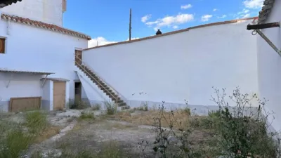 Miniatura 4