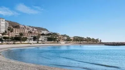 Apartment in Centre-Port-Platja Llevant photo 10