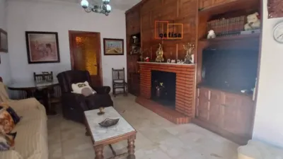 Miniatura 11
