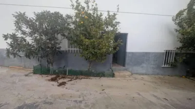 Apartment in Alcaudete photo 11