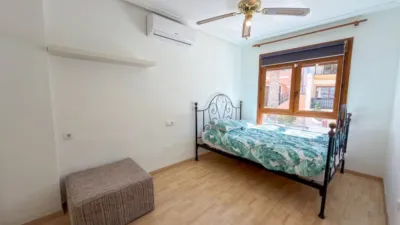 Chalet in Algorfa photo 14