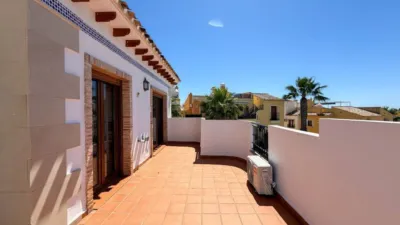 Chalet in Algorfa photo 28