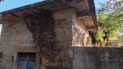 Rustic house in A Carretera photo 2