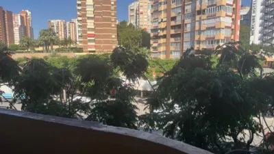 Pis – Benidorm - Vista 3