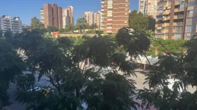 Pis – Benidorm - Vista 4