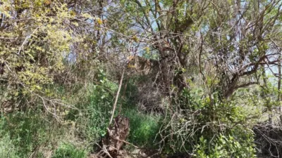 Rustic house on Camino Pago Bancala Street, Poligono 8 Plot 415, Bajo photo 16