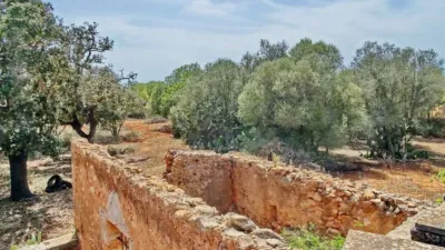 House in Felanitx photo 19