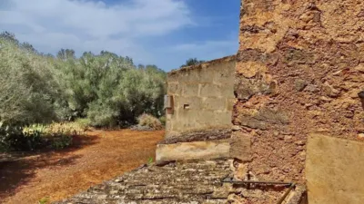 House in Felanitx photo 20