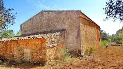 House in Felanitx photo 25