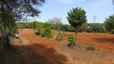 House in Felanitx photo 30