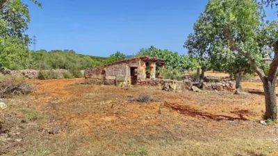 House in Felanitx photo 7
