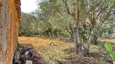 House in Felanitx photo 9