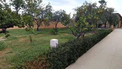 Casa – Sant Vicent del Raspeig - San Vicente del Raspeig - Vista 4