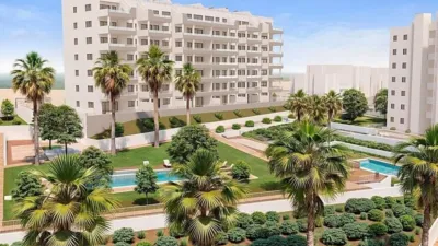 Apartment in San Miguel de Salinas - Vista 4