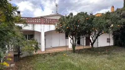 Chalet in Palafrugell photo 3