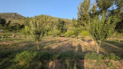 Rustic house in Alcaudete photo 26