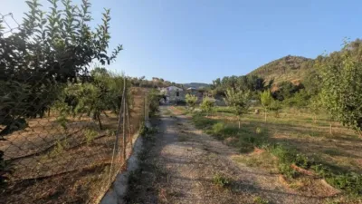 Rustic house in Alcaudete photo 8