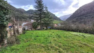 House in Canales (Cabrales) photo 9