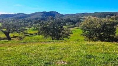 Rustic property in Aracena photo 12