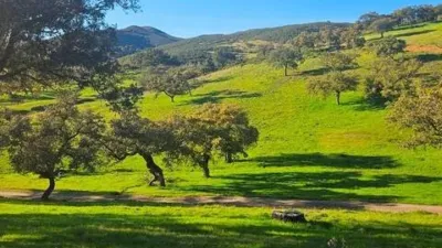 Rustic property in Aracena photo 13