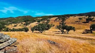 Rustic property in Aracena photo 19